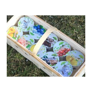 Lot de 8 yaourts bio aux fruits