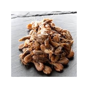 Crevette grise cuite