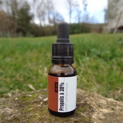 Propolis