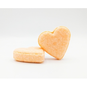 Shampoing solide 'secos'