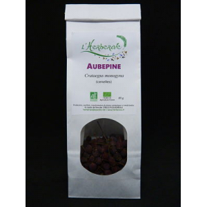 Aubépine (cenelles)