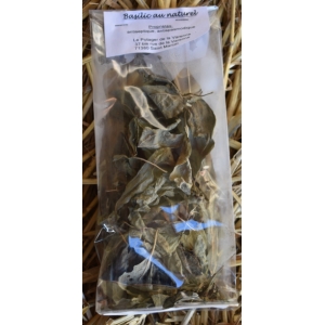 Tisane de basilic