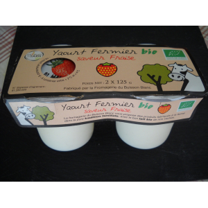 Yaourt à la fraise x 2