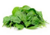Epinards 500g