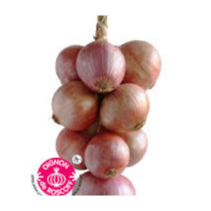 Oignon rose type roscoff