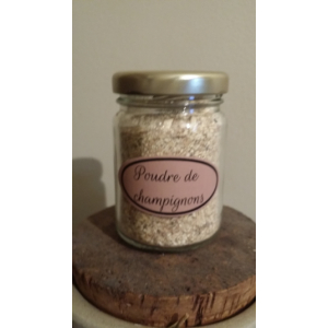 Poudre de champignons