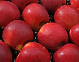 Pomme mandy bio