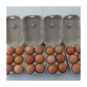 Oeufs de ferme