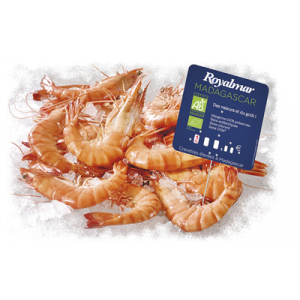 Gambas bio madagascar 40/60
