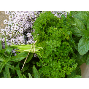 Bouquet de persil double