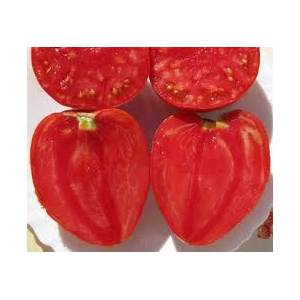 Plants de tomates coeur de boeuf x6