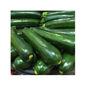 Plant de courgette diamant x 6