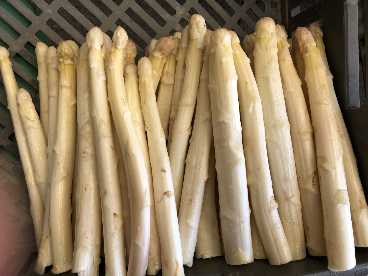 Asperges Blanches De Revigny Moyen Calibre - 1 Kg - Saveur D'ornain ...