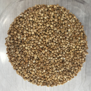 Quinoa