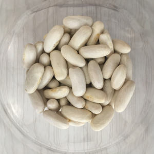 Haricots lingots blancs