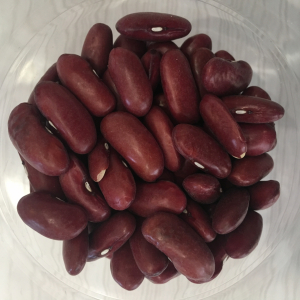 Haricots lingots rouges