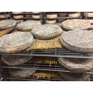 Saint nectaire fermier