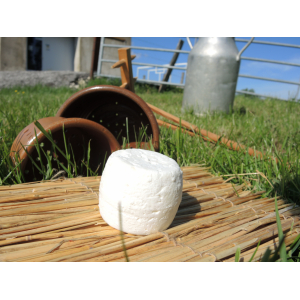 Crottin de chevre bio frais
