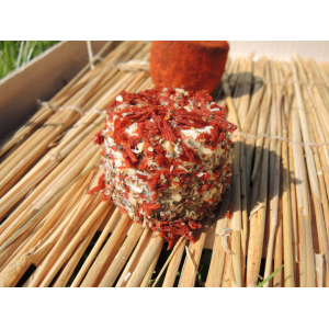 Fromage de chevre bio brushetta