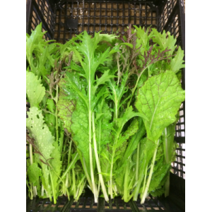 Mélange de salades asiatiques