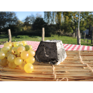 Pyramide cendree bio de chevre