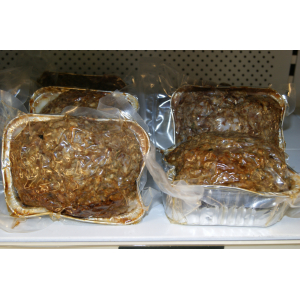 Y/terrine de campagne