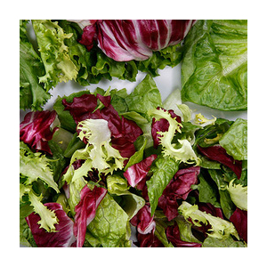 Salade feuilles mélangées