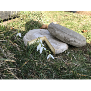 Saint-nectaire fermier