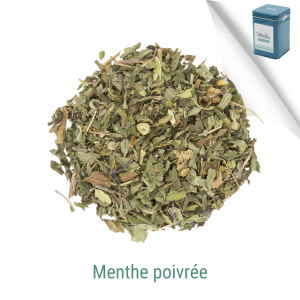 Menthe poivrée