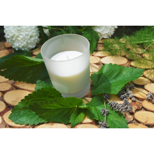 Bougie végétale °mieux que la citronnelle°