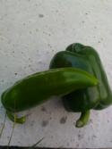 Poivron mix