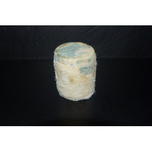 Charolais chèvre aop