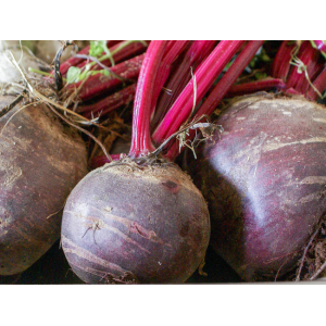 Betterave rouge crue botte de 3