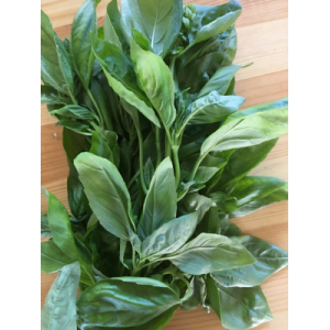 Bouquet de basilic