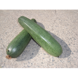 Courgette verte