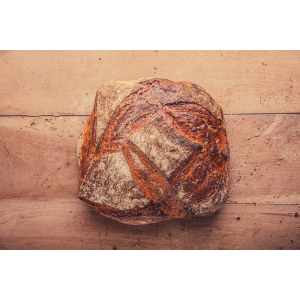 Le saint-roch graines bio