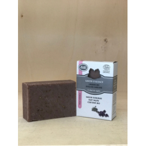 Le chant des cigales