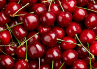 Cerise de l'yonne
