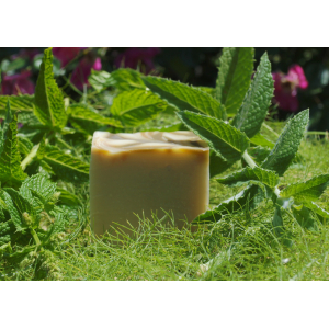 Savon surgras menthe spiruline