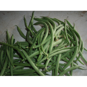 Haricots verts
