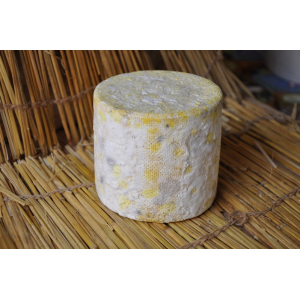 Petit camembert de brebis