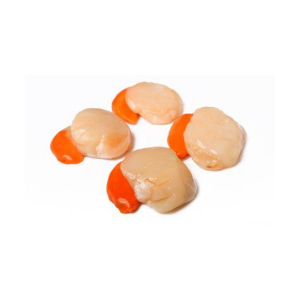 Noix de st jacques decoquillees