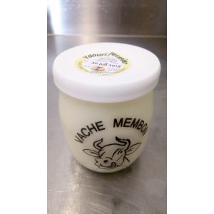 Yaourt au lait entier - citron