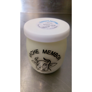 Yaourt au lait écrémé - natur