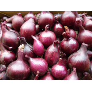 Oignon rouge bio vrac moyen calibre