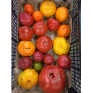 Tomates anciennes