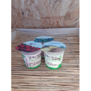 Yaourt fruits fruit des bois