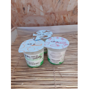 Yaourt aromatisé abricot