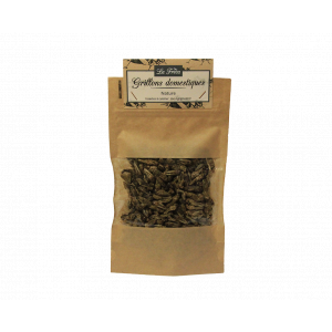Sachet de grillons nature à cuisiner