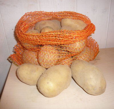 Pomme de terre elodie 5kg